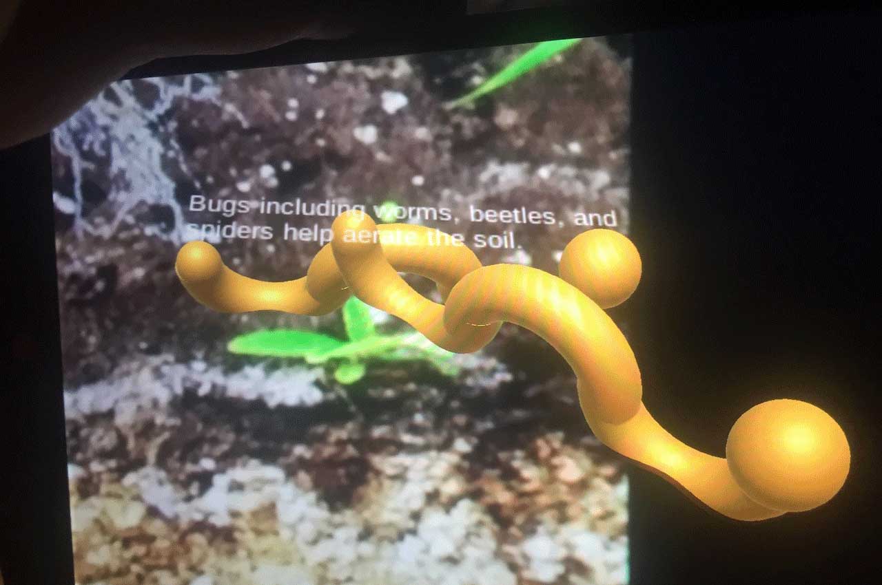 AR app on a smartphone showing worms in soil