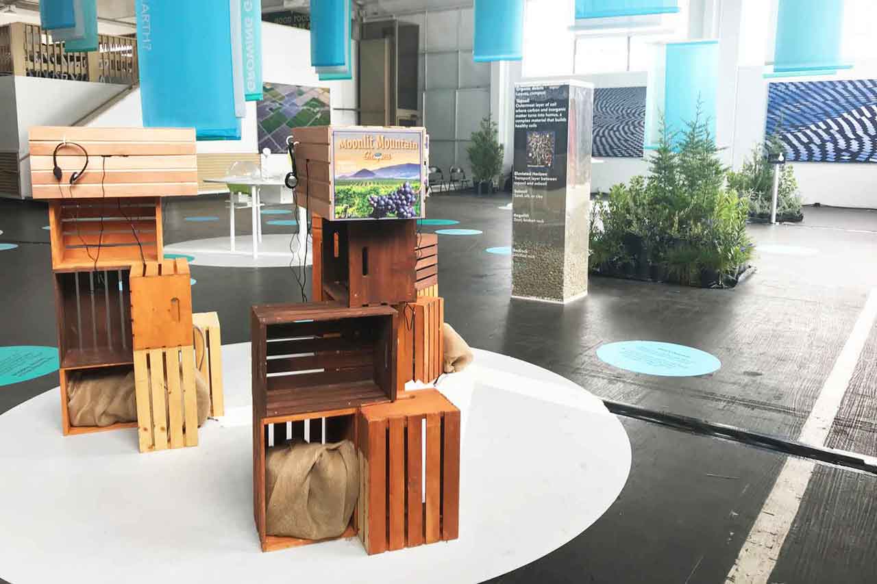 Fruit crates with a large column of soil in the background